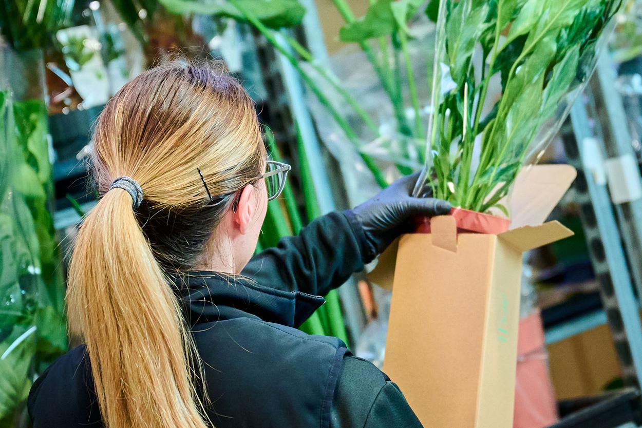 Plant Partners direct van de bron lange termijn