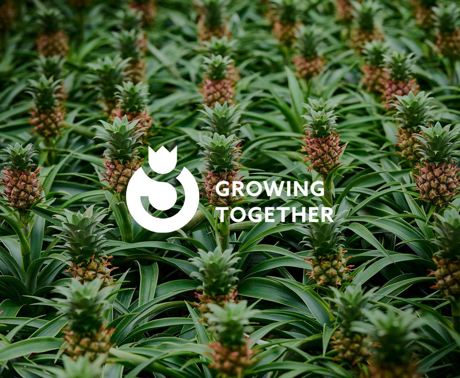 Plant Partners growing together